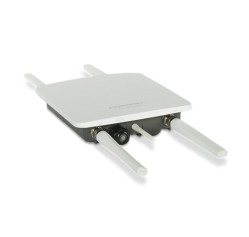 Fortinet FAP-222E