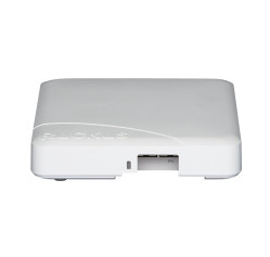 Ruckus R600 (901-R600-WW00)