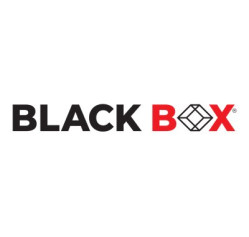 Black Box SECURE NIAP SS4P-DVI-4X2-UCAC