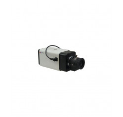 Acti A24