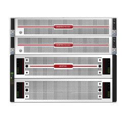 Veritas Access 3350 - Hard drive array (31825-M4217)