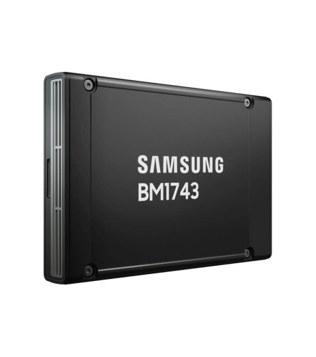 Samsung BM1743 - SSD (4XB7B02475)