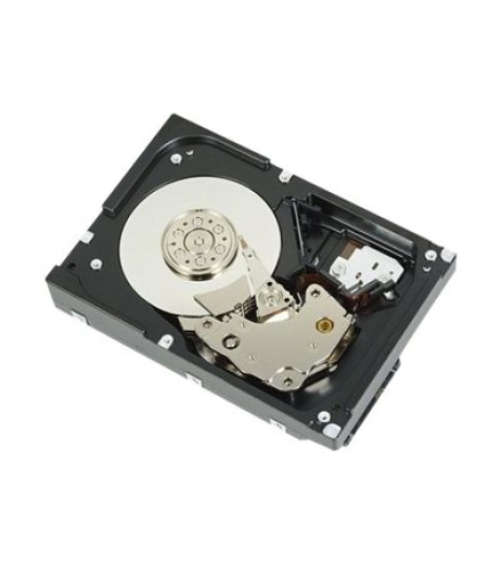 Dell - Hard drive - 10 TB (WKNXV) – купити в Україні | Офіційна гарантія Dell - Hard drive - 10 TB (WKNXV) – купити в Україні | Офіційна гарантія