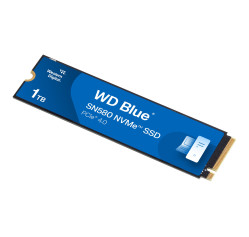 WD Blue SN580 WDS100T3B0E (WDS100T3B0E)