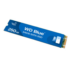 WD Blue SA510 WDS250G3B0B (WDS250G3B0B)
