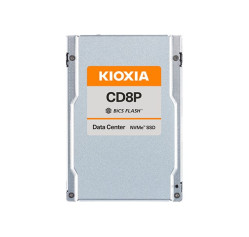 KIOXIA CD8P - SSD - Read Intensive (4XB7A93481)