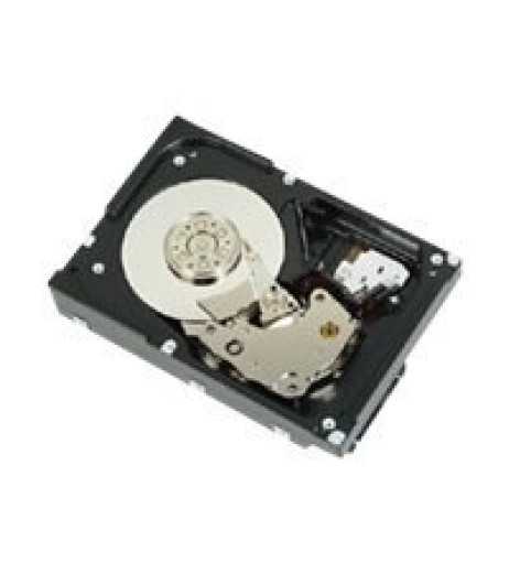 DELL 1TB 3.5-IN LFF SAS 6GBS 7.2K RPM 512N NL H-P HDD (P662F) – купити в Україні | Офіційна гарантія