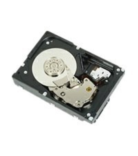 DELL 600GB 2.5-IN SFF SAS 6GBS 10K RPM_X000D_ 512N DP ENT H-P HDD_ (CCWW3) – купити в Україні | Офіційна гарантія