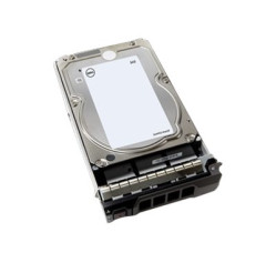 Dell - Customer Kit - hard drive (D2P1C)