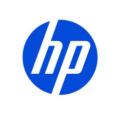 HP - Hard drive - 300 GB (623389-001)