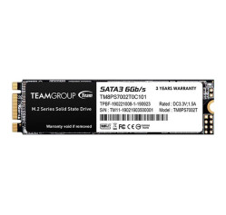 Team Group MS30 - SSD (TM8PS7002T0C101)