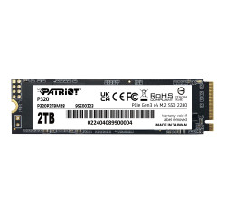 Patriot P320 - SSD - 2 TB (P320P2TBM28)