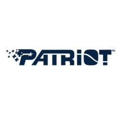 Patriot P210 - SSD - 2 TB (P210S2TB25)
