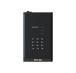 Kanguru iStorage DT3 (IS-DT3-256-26000-F)