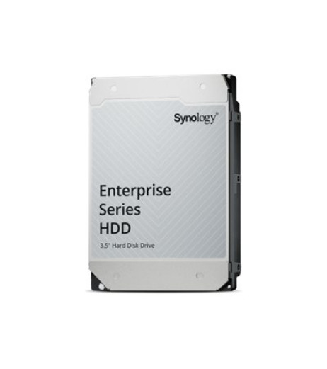 Synology - Hard drive (HAS5310-12T)