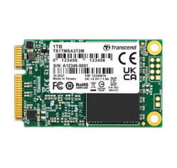Transcend - SSD - 256 GB (TS256GMSA372I)