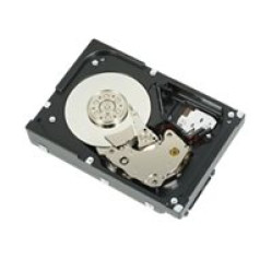 Dell Nearline - Hard drive (342-3520)