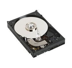 Dell - Customer Kit - hard drive (JCD4T)