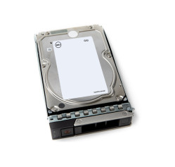 Dell - Customer Kit - hard drive (161-BCNM)