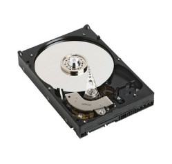 DELL 2TB 7.2K 6GB/S 3.5-INCH SATA HOT-PLUG DELL HARD DRIVE_X000D (D0FJ9)