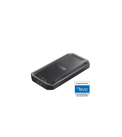 SanDisk Professional PRO-G40 (SDPS31H-004T-GBC1D)