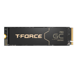 Team Group T-FORCE GC PRO (TM8FFL002T0C129)