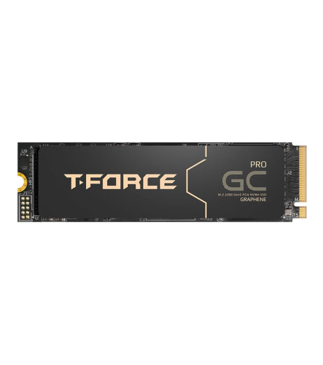 Team Group T-FORCE GC PRO (TM8FFL002T0C129)