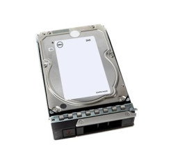 Dell - Hard drive - 20 TB (161-BBTX)