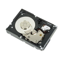 Dell - Customer Kit - hard drive (P8N29)
