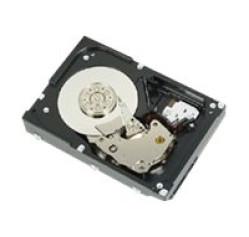 DELL 300GB 2.5-IN SFF SAS 6GBS 15K PE-SERIES ENT CLASS H-P (1D94D)