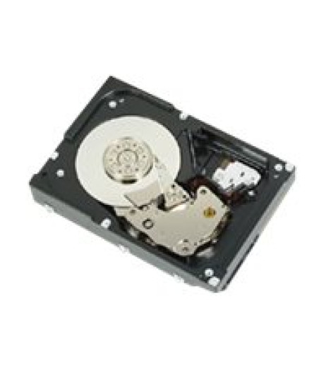 DELL 300GB 2.5-IN SFF SAS 6GBS 15K PE-SERIES ENT CLASS H-P (1D94D)