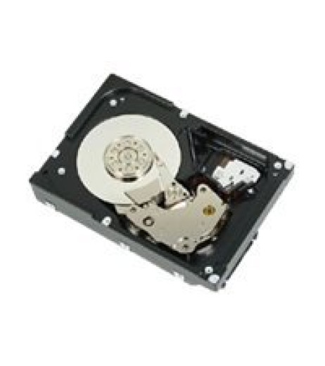 DELL 300GB 10K 6GBS 2.5-IN SFF_ SAS H-P HDD (341-8498)