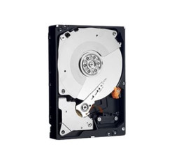 Dell - Hard drive - encrypted (PVTJ4)