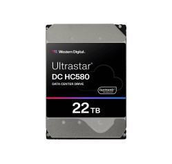 WD Ultrastar DC HC580 WUH722422ALE6L4 (1EX3169)