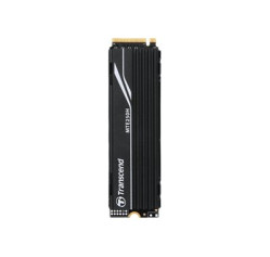 Transcend MTE250H - SSD (TS4TMTE250H)