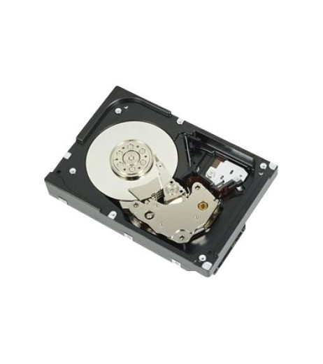 Dell - Customer Kit - hard drive (NNJWG)