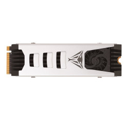 Patriot Viper PV553 - SSD (PV553P1TBM28H)