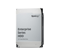Synology HAT5310 - Hard drive (HAT5310-20T)