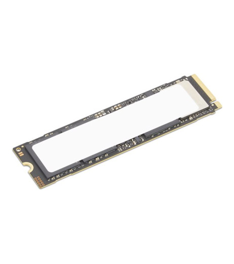 Lenovo - SSD - encrypted (4XB1S30112)
