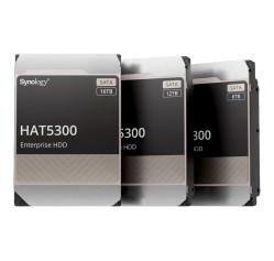 Synology HAT5300 - Hard drive (HAT5300-12T)