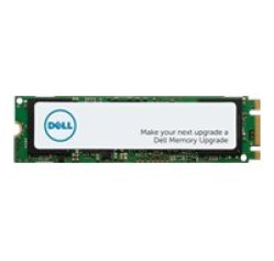 Dell - SSD - 256 GB - internal (SNP112P/256G)