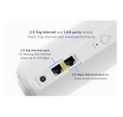 NETGEAR Orbi 370 Series RBE373 (RBE373-100NAS)