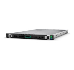 HPE ProLiant DL360 Gen11 (S4P01A)