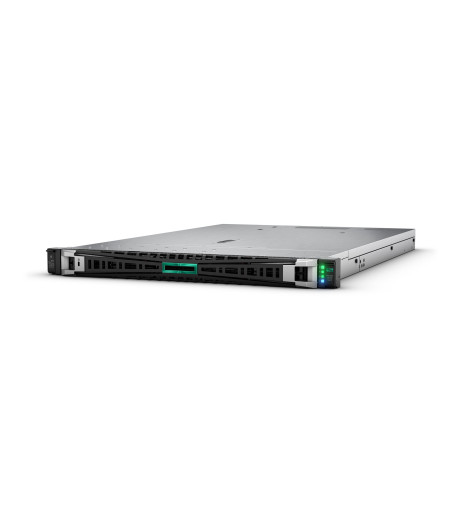 HPE ProLiant DL325 Gen11 (P66775-B21)