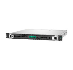 HPE ProLiant DL20 Gen11 (P86755-005)