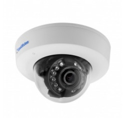 GeoVision GV-EFD2100-2F
