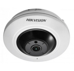 Hikvision DS-2CD2955FWD-IS (1.05)